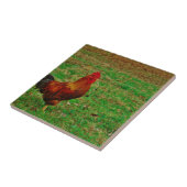 Rooster rechtsaf tegeltje (Zijkant)