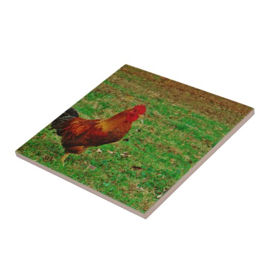 Rooster rechtsaf tegeltje (Zijkant)