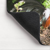 Rooster - Red Oerwoud Fowl Muismat (Hoek)