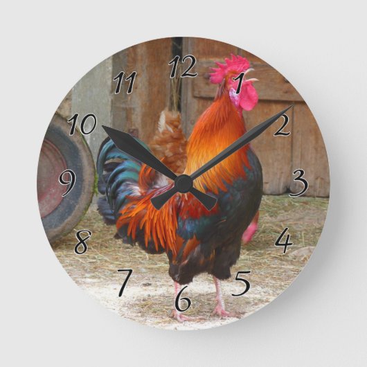 Rooster Rhode Island Ronde Klok (Voorkant)
