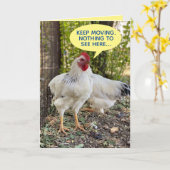 Rooster richtend verkeer 4 over de waterkuiken kaart (Gele Bloem)