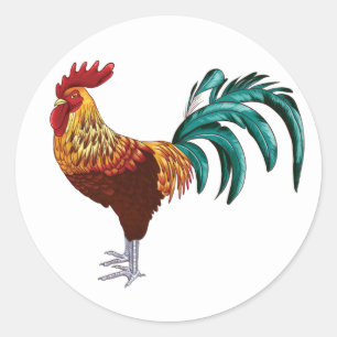 ROOSTER RONDE STICKER