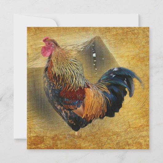 Rooster Rustic Barn Bedankkaart (Voorkant)