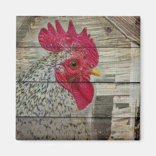 Rooster Rustic Chicken Coop Barn Board Magneet