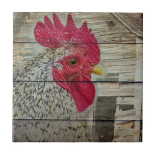 Rooster Rustic Chicken Coop Barn Board Tegeltje