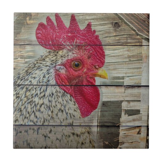 Rooster Rustic Chicken Coop Barn Board Tegeltje (Voorkant)