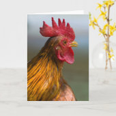 Rooster Says Hi Kaart (Gele Bloem)