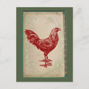  Rooster Shabby Chic Grunge Chicken Briefkaart