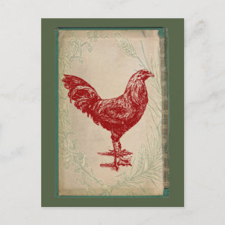  Rooster Shabby Chic Grunge Chicken Briefkaart