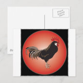 Rooster Showcase Briefkaart (Voorkant / Achterkant)