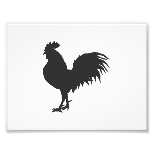 Rooster silhouet - Kies achtergrondkleur Foto Afdruk (Voorkant)