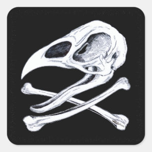 Rooster Skull en Crossbones Vierkante Sticker