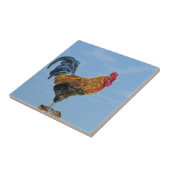Rooster Sky Aanpassen dierenkip Tegeltje (Zijkant)
