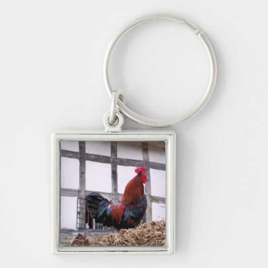 ROOSTER SLEUTELHANGER (Voorkant)