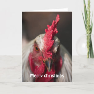 Rooster sluit portret kerstmis af feestdagen kaart