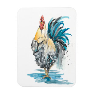 Rooster Splash - Waterverf Portret Magneet
