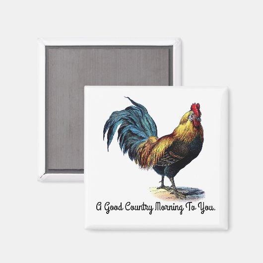  Rooster Square Magnet (Voorkant / Achterkant)