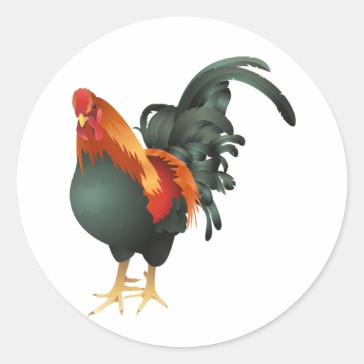 Rooster Stickers (Voorkant)