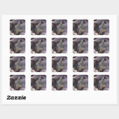 Rooster Stickers (Vel)