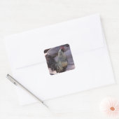 Rooster Stickers (Envelop)