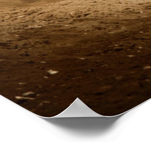 Rooster Tail Poster (Hoek)