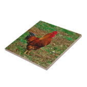 Rooster Tegeltje (Zijkant)