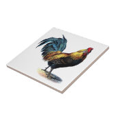  Rooster Tegeltje (Zijkant)