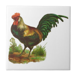 Rooster Tegeltje