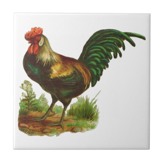 Rooster Tegeltje (Voorkant)