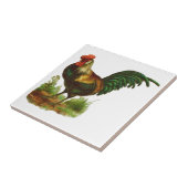 Rooster Tegeltje (Zijkant)