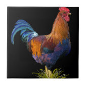 Rooster Tegeltje (Voorkant)