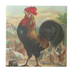Rooster Tegeltje