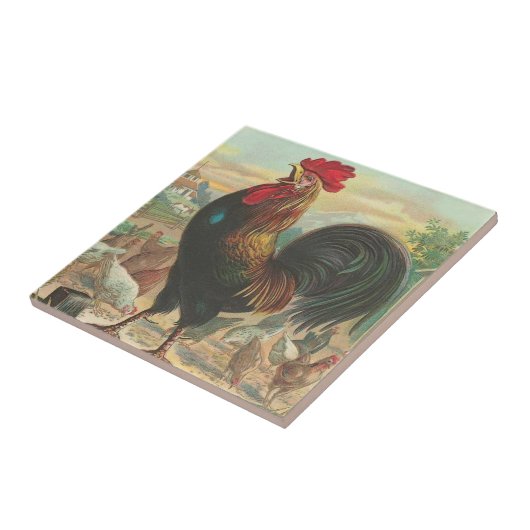 Rooster Tegeltje (Zijkant)