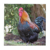 Rooster Tegeltje (Voorkant)