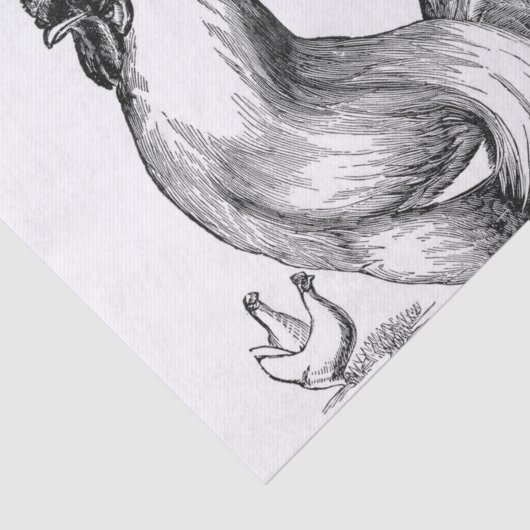 rooster tissuepapier (Detail)