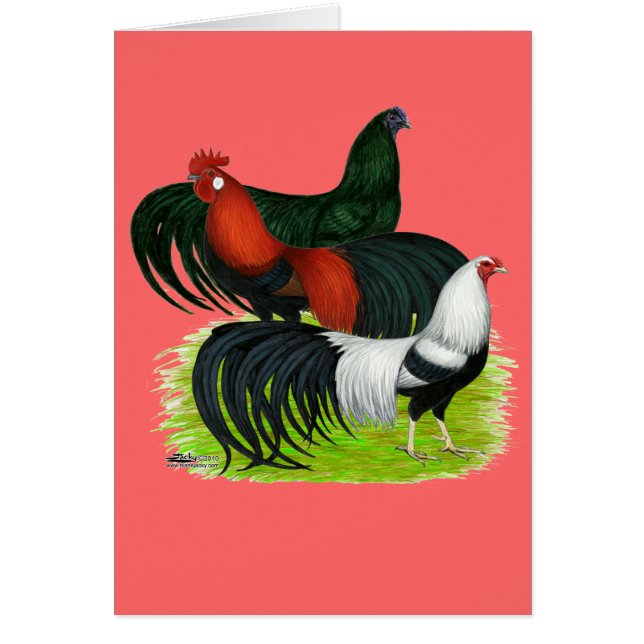 Rooster Trio met lange staart (Voorkant)