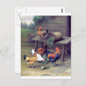 Rooster Turnip Basket Hens Briefkaart (Voorkant / Achterkant)