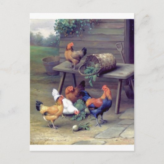 Rooster Turnip Basket Hens Briefkaart (Voorkant)