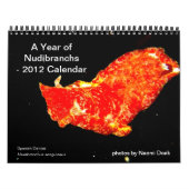 Rooster van 12 maanden met foto's van Nudibranchs Kalender (Hoes)