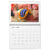 Rooster van 12 maanden met foto's van Nudibranchs Kalender (Mar 2026)