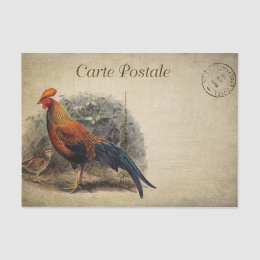 Rooster van de Franse stijl Carte Postale Tissuepapier (Voorkant)