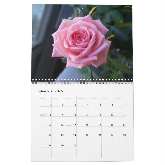 Rooster van de Rozen Kalender (Mar 2026)