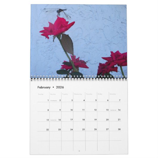 Rooster van de Rozen Kalender (Feb 2026)