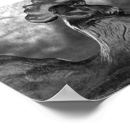 Rooster van glas poster (Hoek)