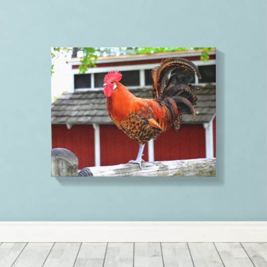 Rooster van Red Junglefowl op een hek Canvas Afdruk (Insitu (Houten vloer))