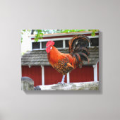Rooster van Red Junglefowl op een hek Canvas Afdruk (Voorkant)