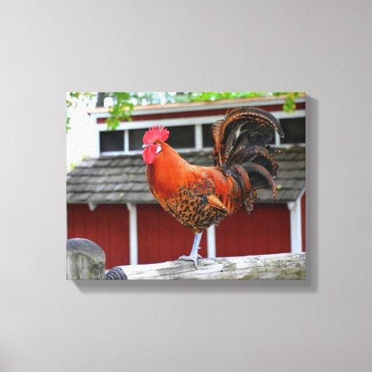 Rooster van Red Junglefowl op een hek Canvas Afdruk (Voorkant)