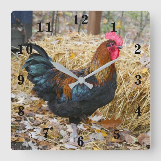 Rooster Vierkante Klok (Voorkant)