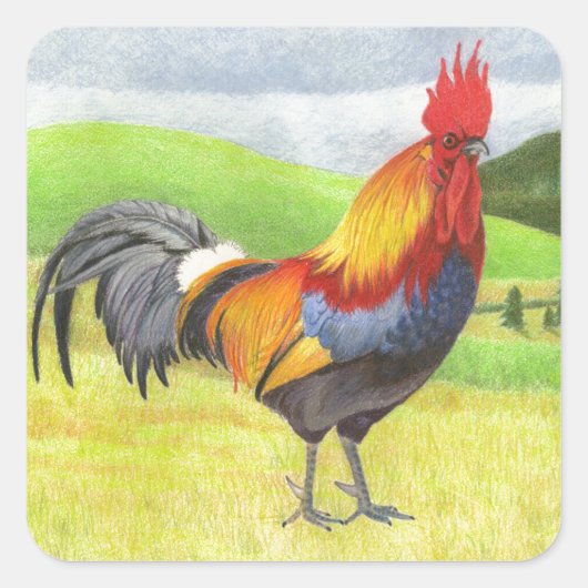 Rooster Vierkante Sticker (Voorkant)