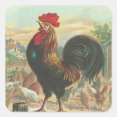 Rooster Vierkante Sticker (Voorkant)